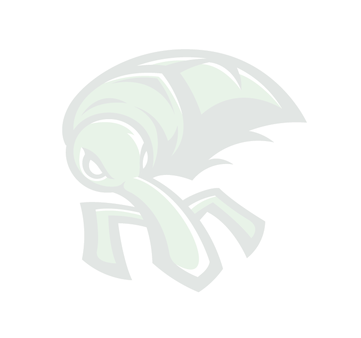 Weevil Bg